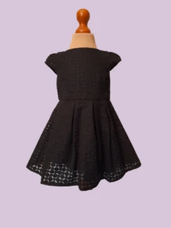 Robe Noire à Pinces En Organza Brodé