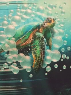 Robe Dauphin 6ans -Éclat Boutique 4590582 robe coeur 6ans 5