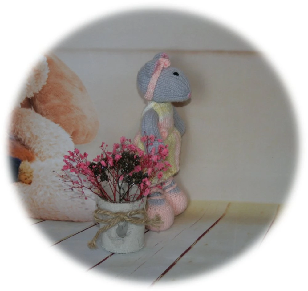 Perle Souris Grise En Robe 6 Perle Souris Grise En Robe – Image 6