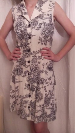 Robe Sans Manches Le Col Chemisier En Toile De Jouy