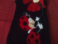 Robe "coccinelle" -Éclat Boutique product 5efda311ba15c 3