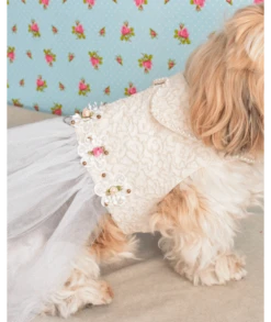 Robe Ivoire Avec Tulle Pailleté & Fleurs Pour Chien Et Chat -Éclat Boutique product 63d96f8cd3504 2