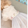 Robe Ivoire Avec Tulle Pailleté & Fleurs Pour Chien Et Chat